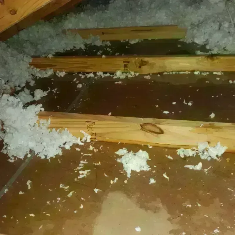 Attic Water Damage in Centreville, MI