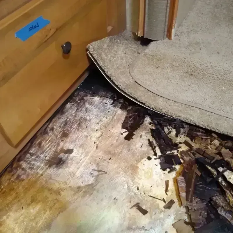 Wood Floor Water Damage in Centreville, MI